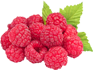 Himbeeren